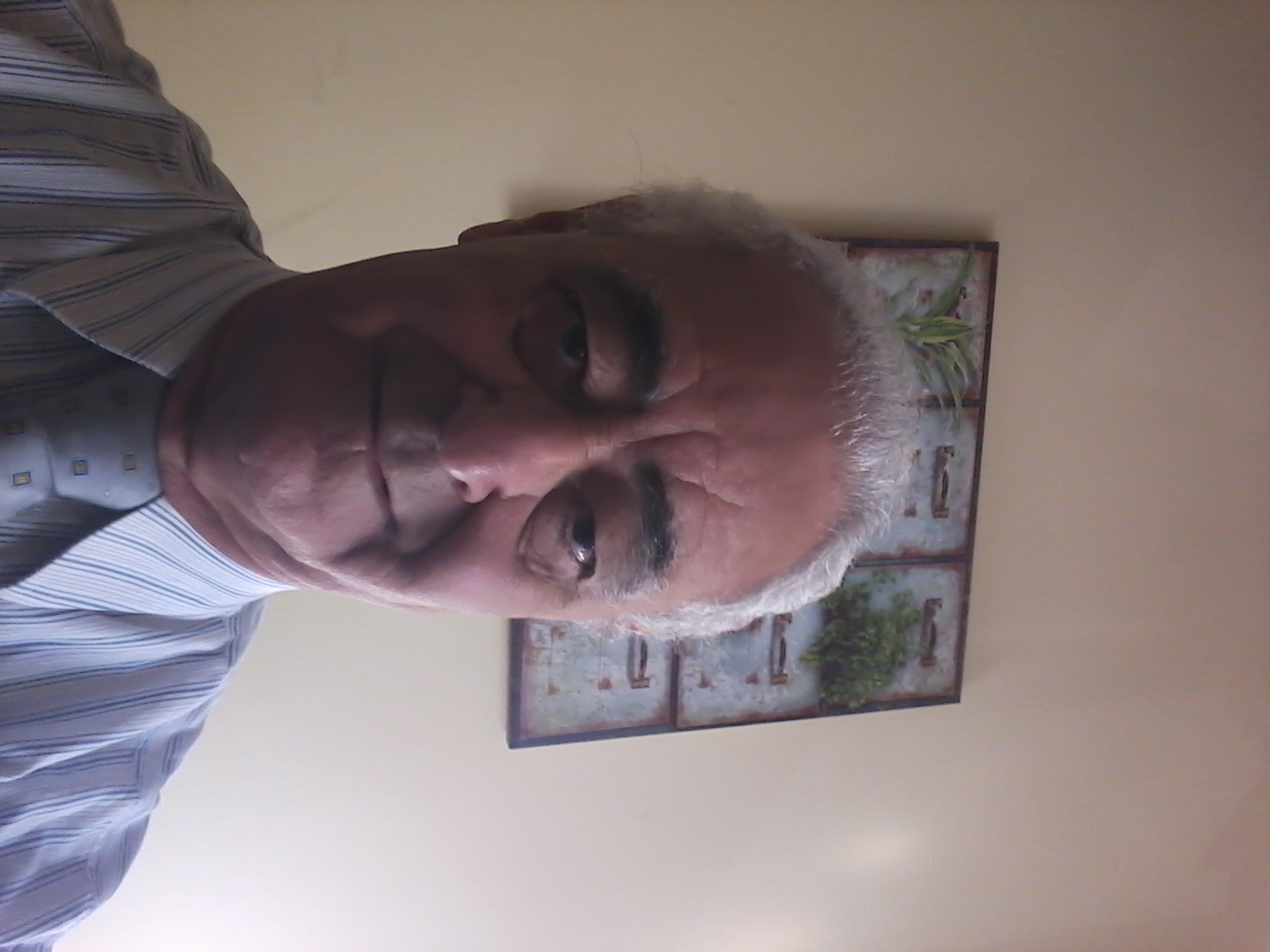 Benjamim da Silva Amorim